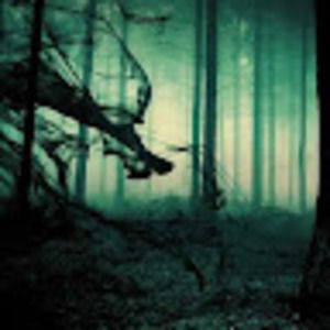 Meet your Posher, Breana